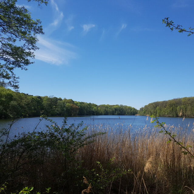 Schlachtensee in Berlin 2020