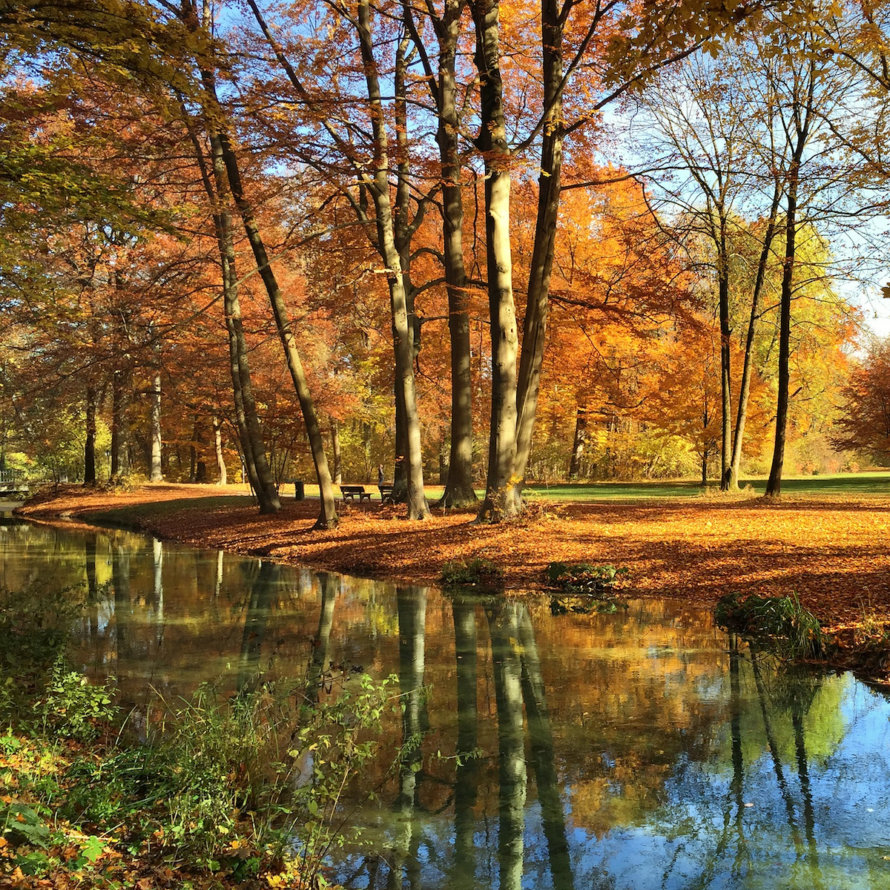 Englischer Garten München CREME GUIDES