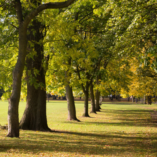 Schlosspark Berlin Niederschönhausen